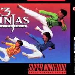 3-Ninjas-Kick-Back-USA