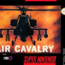 Air-Cavalry-USA