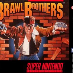 Brawl-Brothers-USA