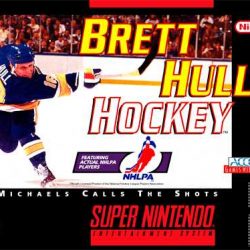 Brett-Hull-Hockey-USA