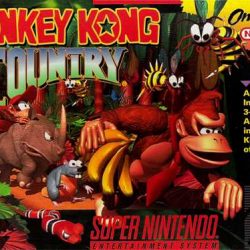 Donkey-Kong-Country-USA