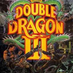 Double-Dragon-III-The-Sacred-Stones-USA