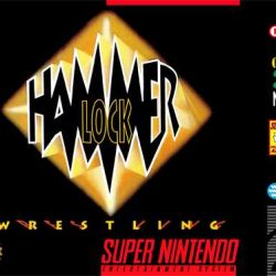 Hammer-Lock-Wrestling-USA
