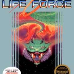 Life-Force-USA