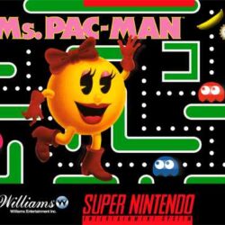 Ms.-Pac-Man-USA