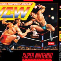 Natsume-Championship-Wrestling-USA