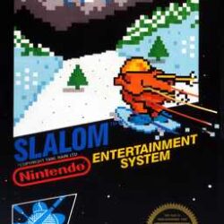 Slalom-USA
