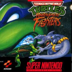 Teenage-Mutant-Ninja-Turtles-Tournament-Fighters-USA