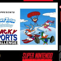 Tiny-Toon-Adventures-Wacky-Sports-Challenge-USA