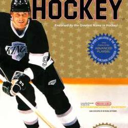 Wayne-Gretzky-Hockey-USA