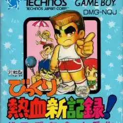 crash-n-the-boys-street-challenge-nes-nes-cover