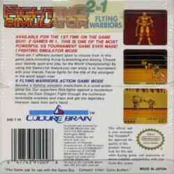fighting-simulator-2-in-1-gb-gameboy-cover