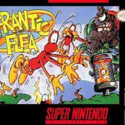 frantic-flea-snes