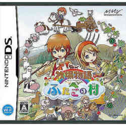 harvest-moon-the-tale-of-two-towns-nintendo-ds-cover