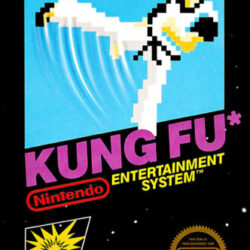kung-fu-nes-nes-cover