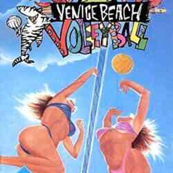 venice-beach-volleyball-nes