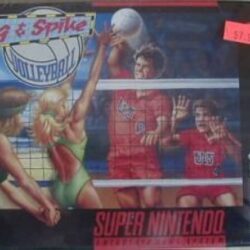 dig-spike-volleyball-snes-super-nintendo-snes-cover