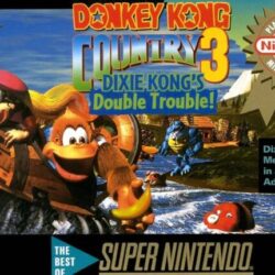 donkey-kong-country-3-dixie-kongs-double-t-super-nintendo-snes-cover